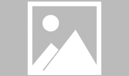 训狗视频,训狗视频教你轻松驯服爱犬