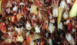 虾尾的做法视频,轻松学会家常美味